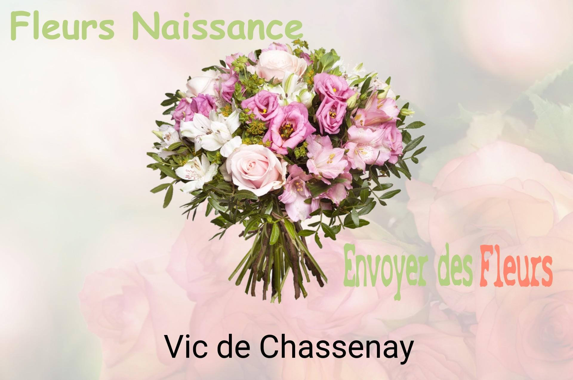Bouquet de fleurs de naissance livré à Vic-de-Chassenay