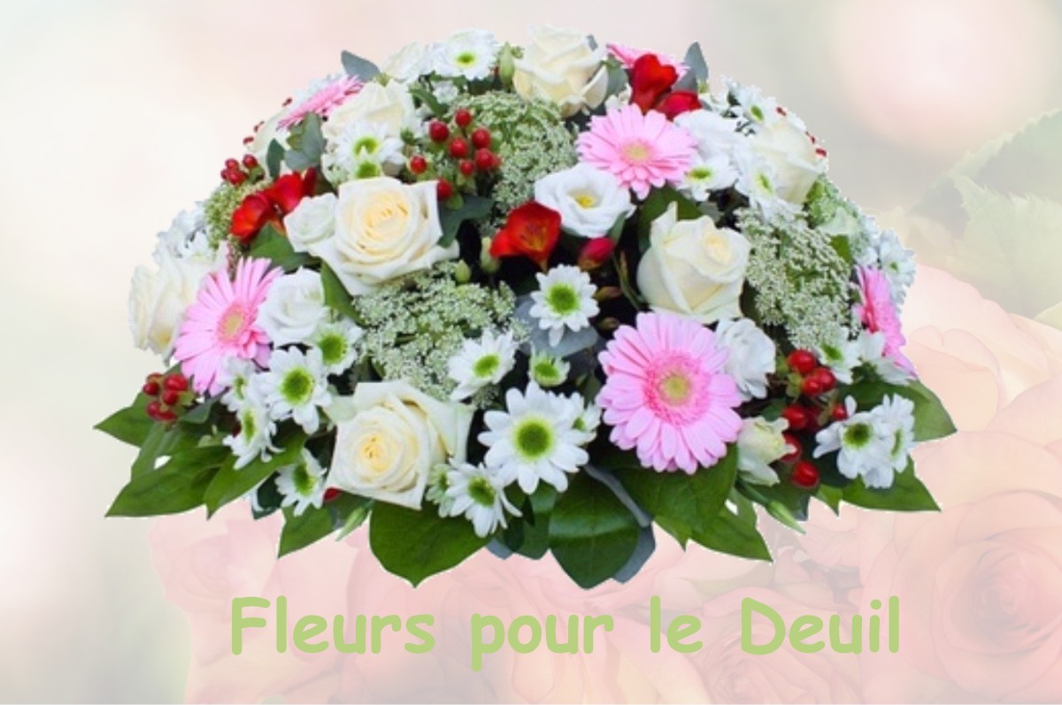fleurs deuil VIC-DE-CHASSENAY