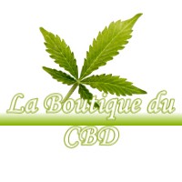 LA BOUTIQUE DU CBD VIC-DE-CHASSENAY 