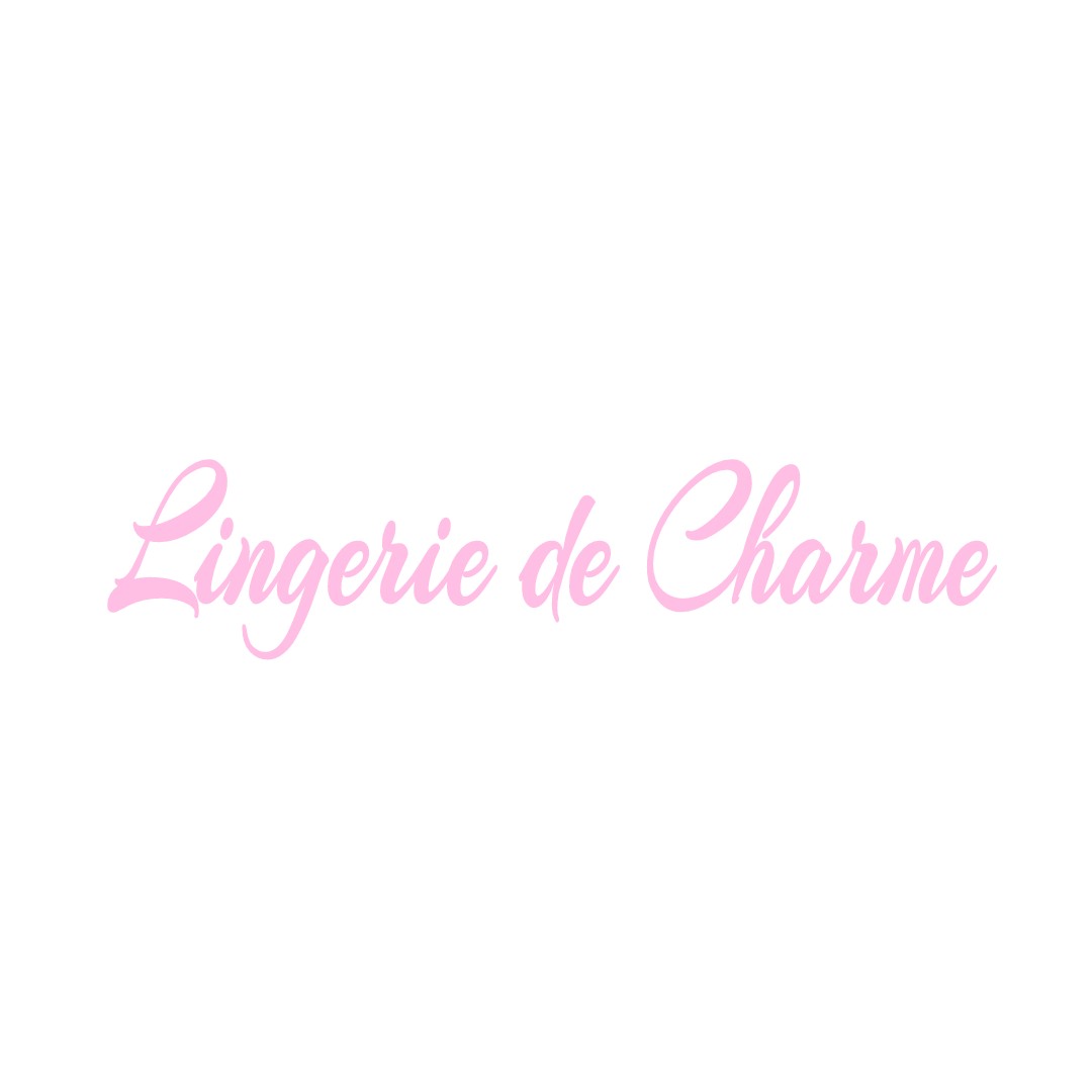 LINGERIE DE CHARME VIC-DE-CHASSENAY